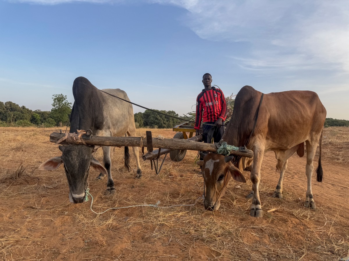 ‘Significant’ Acceleration Of Global Warming Since 2015
