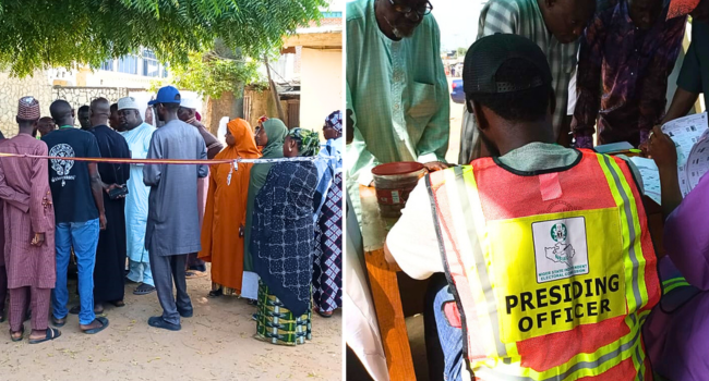 APC Sweeps Niger State LG Polls, Wins All 25 Councils 