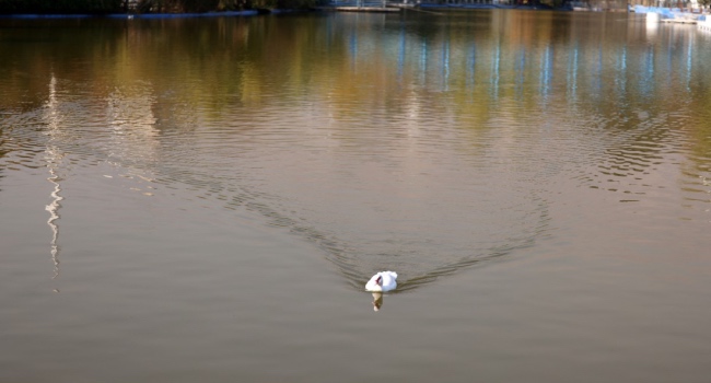 Dam Reservoir Levels Drop Below 3% In Iran’s Second City