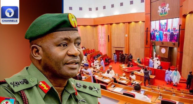 Senate To Screen Ex-CDS Musa As Defence Minister Nominee