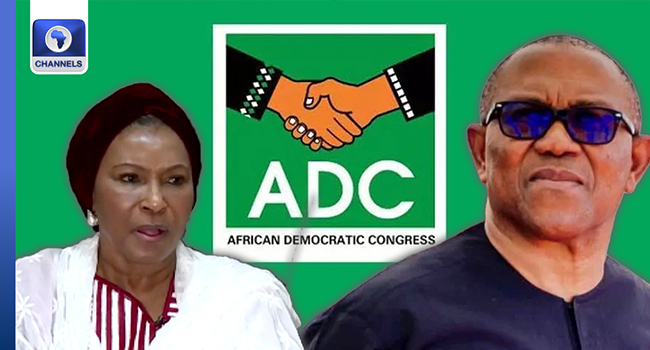 I’ll Work For Obi, Any Candidate Who Wins ADC Presidential Ticket — Sen Ireti Kingibe