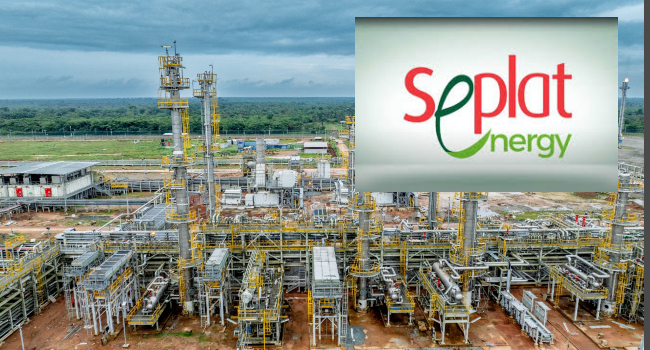 Seplat’s 300 MMscfd ANOH Project Achieves First Gas