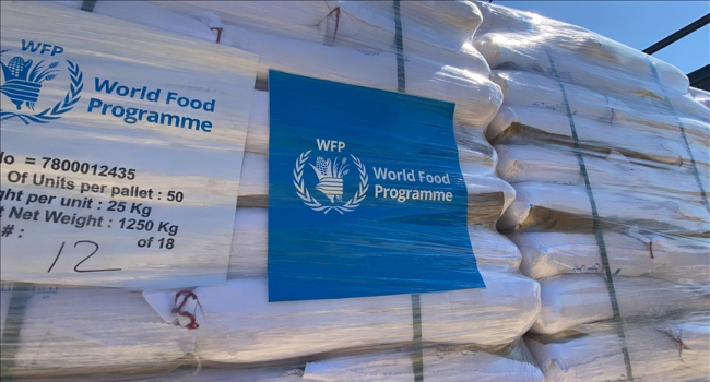 Nigeria Faces Worst Hunger In Decade As Aid Cuts Hit Northeast, UN Warns