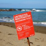 New Zealand Mayor Swims To Allay Sewage Contamination Fears