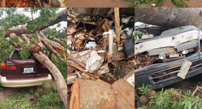 Police Confirm Enugu Crash, Say 11 Passengers Killed