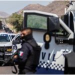 TikTok Disinformation: The Other weapon In Mexico Violence