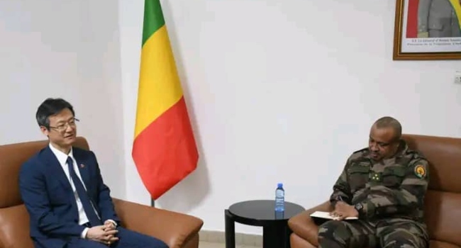 Mali Defence Minister Receives Chinese Ambassador LI Xiang