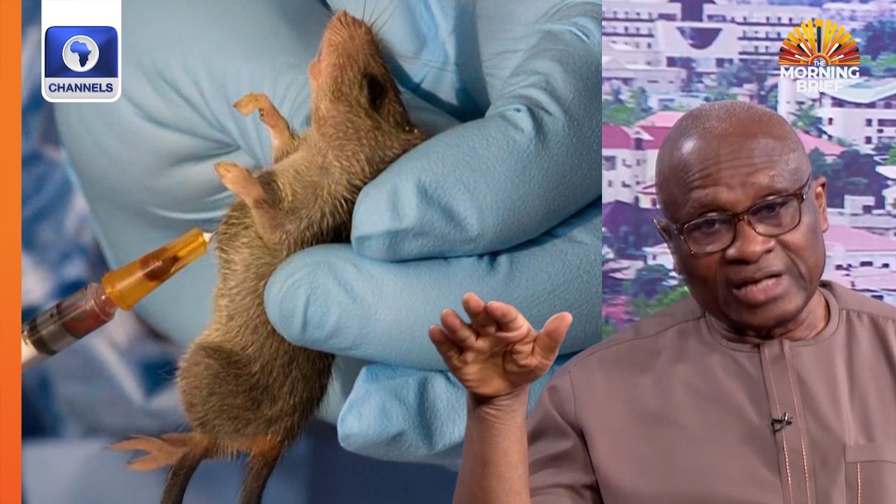 We Will Reduce Lassa Fever Incidence In 10 Years – NCDC DG