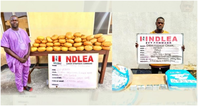 NDLEA Arrests Ex-Lagos Councillor With 40kg Of Skunk, Uncovers 500 Pieces Of IEDs In Niger
