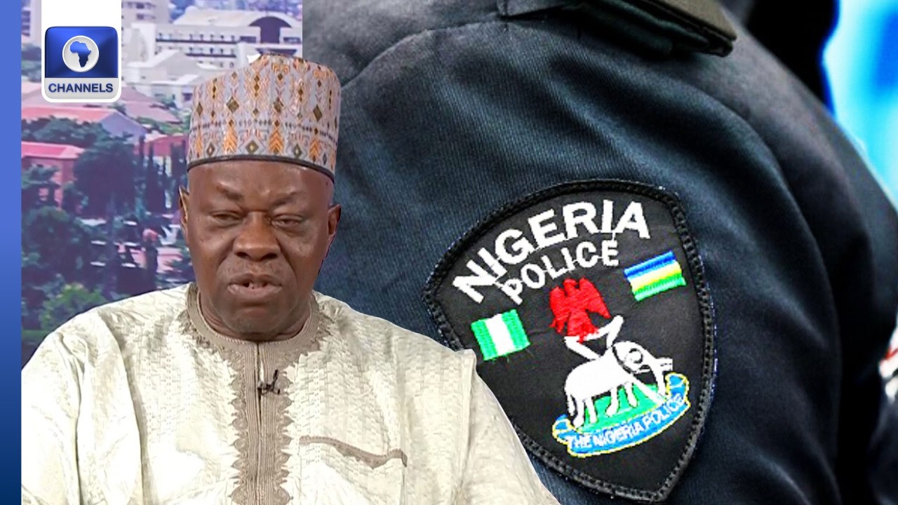 [VIDEO] We Will Be In Trouble If State Police Are Under Control Of Governors — Prof Jubrin Ibrahim