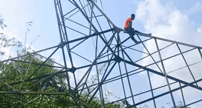 TCN Declares Force Majeure After Storm Topples Ikeja–Osogbo 330kV Line