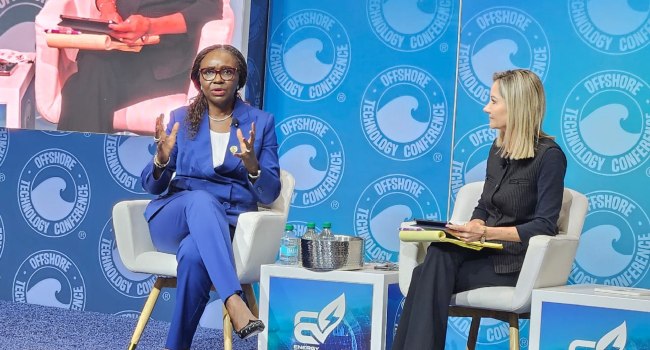 300 Firms Compete For 50 Oil Blocks In Ongoing Licensing Round — NUPRC