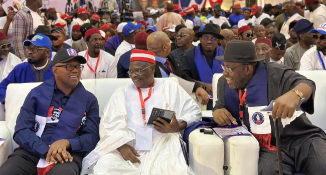 Nigeria’s NDC Zones 2027 Presidential Ticket to the South, 2031 to the North