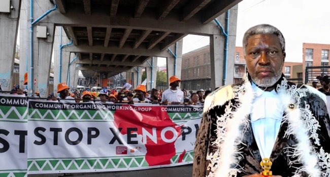 Xenophobia: Africans Cannot Be Running From Africa, We Must Lend Our Voices – Kanayo O. Kanayo