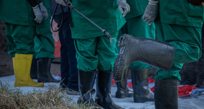 WHO Reports Ebola Expanding Into New Regions of Northeast Democratic Republic of Congo
