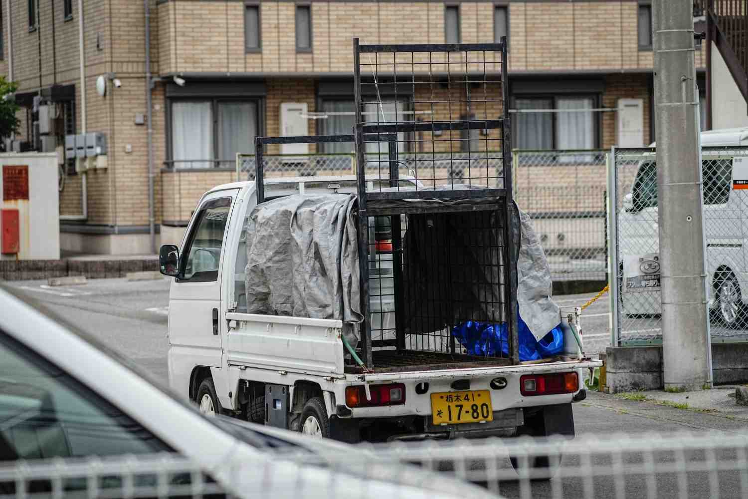 Japan City Relieved As Bear Caught After Roaming S