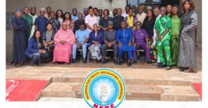 NERC Chair Oseni announces transfer of power sector oversight to 16 states