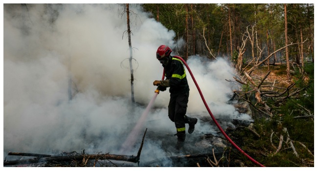 Blaze Devastates Historic Forest Near Paris