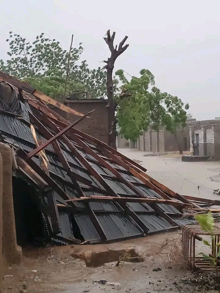 Three fatalities and property damage reported as windstorm hits Yobe